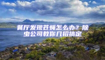 餐厅发现苍蝇怎么办?除虫公司教你几招搞定
