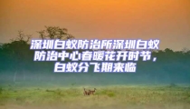 深圳白蚁防治所深圳白蚁防治中心春暖花开时节，白蚁分飞期来临