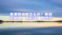 家里有蟑螂怎么办?家庭灭蟑螂,有方法,有妙招!