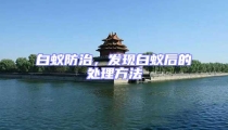 白蚁防治,发现白蚁后的处理方法