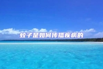 蚊子是如何传播疾病的