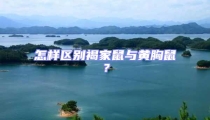 怎样区别褐家鼠与黄胸鼠?