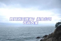 如何消灭跳蚤？杀虫公司告诉大家