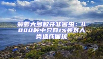 蟑螂大多数并非害虫：4800种中只有1%会对人类造成困扰