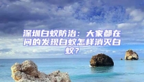 深圳白蚁防治:大家都在问的发现白蚁怎样消灭白蚁?