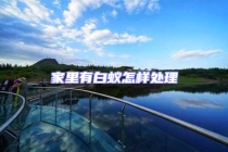 家里有白蚁怎样处理