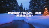 被跳蚤咬了怎么办,这些做法送给您!