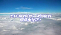 怎样清除蟑螂?灭蟑螂有哪些小技巧?
