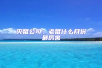 灭鼠公司：老鼠什么月份最厉害