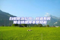 白蚁防治公司：蚁道有时候会修建得非常隐蔽