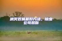 消灭苍蝇最好方法，除虫公司帮你