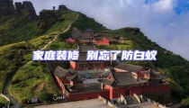 家庭装修 别忘了防白蚁