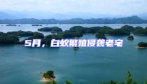5月,白蚁繁殖侵袭老宅
