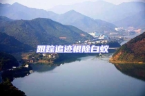 跟踪追迹根除白蚁