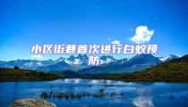 小区街巷首次进行白蚁预防