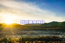 蚁后基本简介