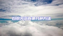 白蚁灭治有哪几种方法