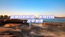 深圳白蚁防治：发现白蚁、及早处理