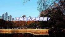 医院怎么灭蟑螂呢?