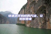 快速消灭蚂蚁的方法，让蚂蚁搬家