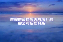 苍蝇的最佳消灭方法？除虫公司给您分析