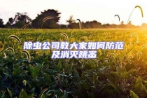 除虫公司教大家如何防范及消灭跳蚤