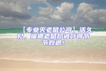 【专业灭老鼠公司】活久见，猫抓老鼠却被吓得节节败退！