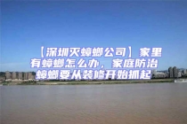 【深圳灭蟑螂公司】家里有蟑螂怎么办，家庭防治蟑螂要从装修开始抓起