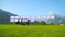 深圳白蚁防治：白蚁危害范围十分广泛