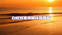 白蚁对家庭破坏有那些