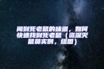 闻到死老鼠的味道，如何快速找到死老鼠（资深灭鼠员实例，组图）