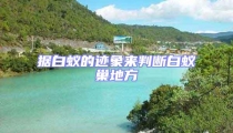 据白蚁的迹象来判断白蚁巢地方