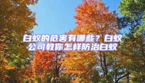 白蚁的危害有哪些?白蚁公司教你怎样防治白蚁