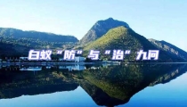 白蚁“防”与“治”九问