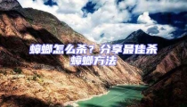蟑螂怎么杀?分享最佳杀蟑螂方法