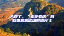 入春了,“无牙老虎”白蚁也蠢蠢欲动繁殖分飞