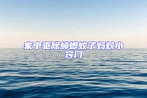 家中驱除蟑螂蚊子蚂蚁小窍门