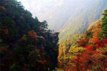各种蚊虫如蜱虫、恙螨、跳蚤、臭虫等咬后的症状（三）