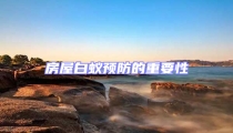 房屋白蚁预防的重要性