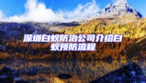 深圳白蚁防治公司介绍白蚁预防流程
