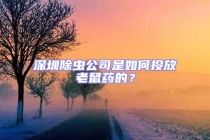 深圳除虫公司是如何投放老鼠药的？