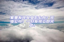 家里发现臭虫怎么办？灭虫公司：一旦发现立即灭之！