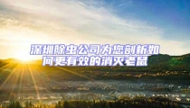 深圳除虫公司为您剖析如何更有效的消灭老鼠