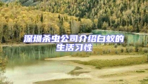 深圳杀虫公司介绍白蚁的生活习性