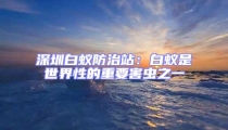 深圳白蚁防治站：白蚁是世界性的重要害虫之一