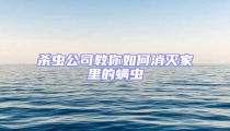 杀虫公司教你如何消灭家里的螨虫