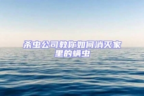 杀虫公司教你如何消灭家里的螨虫