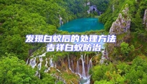 发现白蚁后的处理方法 吉祥白蚁防治