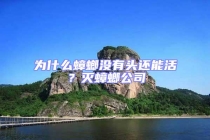 为什么蟑螂没有头还能活？灭蟑螂公司