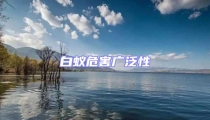白蚁危害广泛性